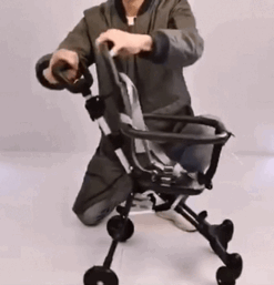 FlexiGo Kinderwagen